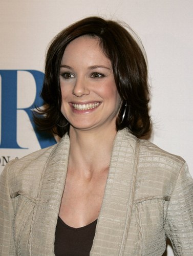 Sarah Wayne Callies